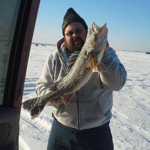 Meet your Posher, Joe